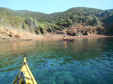 Corse
