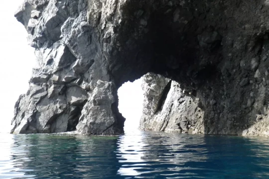 Arche