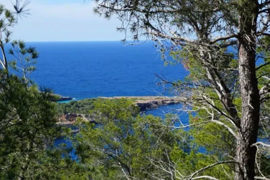 L'île d'Ibiza