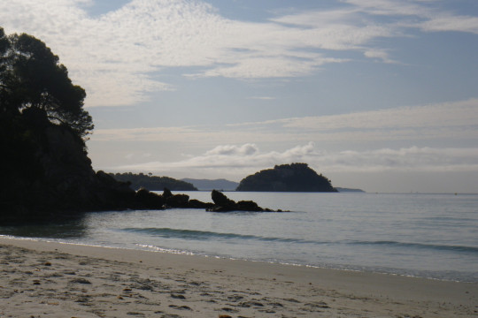 Plage entre Six fours et bormes les mimosas