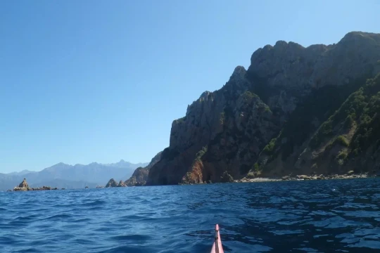kayak dans le golfe de Porto